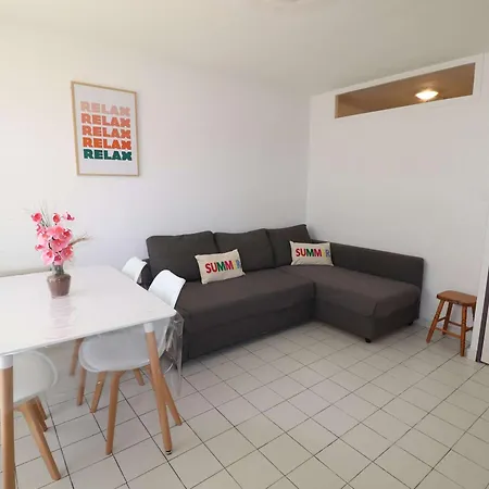 Superbe 2p Climatise Avec Loggia Et Grande Terrasse, Piscines, Proche Au Grau-du-roi - Fr-1-307-105 *