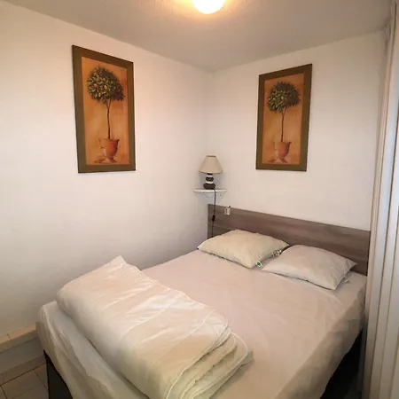 Superbe 2p Climatise Avec Loggia Et Grande Terrasse, Piscines, Proche Au Grau-du-roi - Fr-1-307-105 Apartment