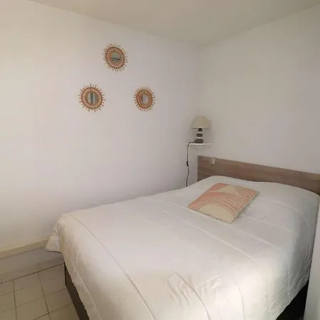 Superbe 2p Climatise Avec Loggia Et Grande Terrasse, Piscines, Proche Au Grau-du-roi - Fr-1-307-105 Le Grau-du-Roi