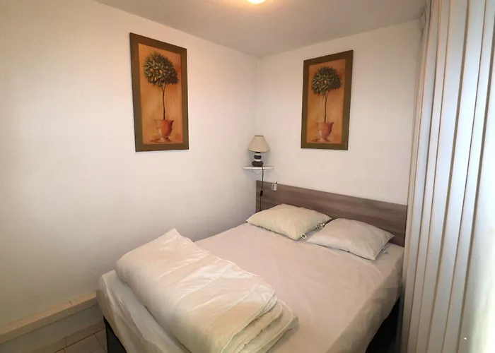 Superbe 2p Climatise Avec Loggia Et Grande Terrasse, Piscines, Proche Au Grau-du-roi - Fr-1-307-105 Lägenhet