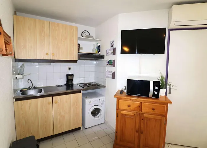 Lägenhet Superbe 2p Climatise Avec Loggia Et Grande Terrasse, Piscines, Proche Au Grau-du-roi - Fr-1-307-105